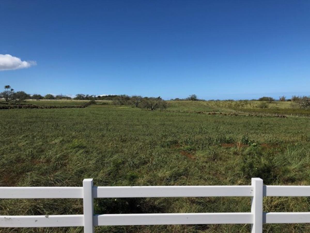 Picture of Residential Land For Sale in Hawi, Hawaii, United States