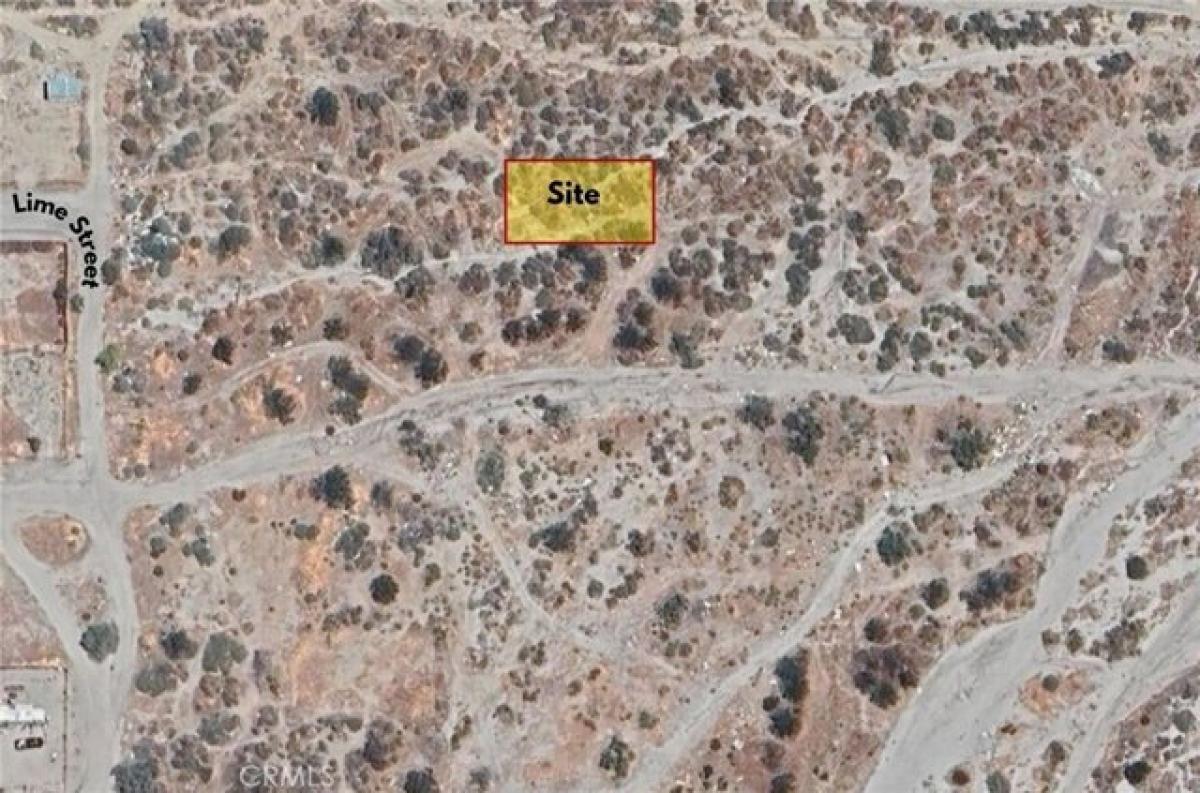 Picture of Residential Land For Rent in Cabazon, California, United States