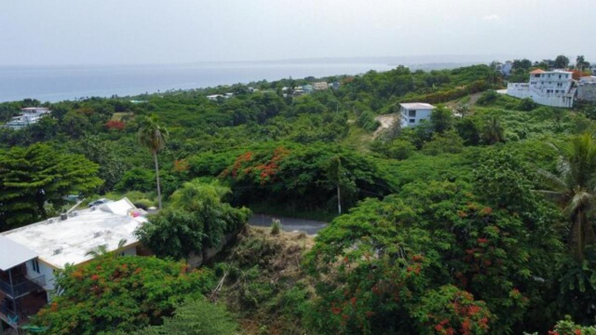 Picture of Residential Land For Sale in Rincon, Georgia, United States