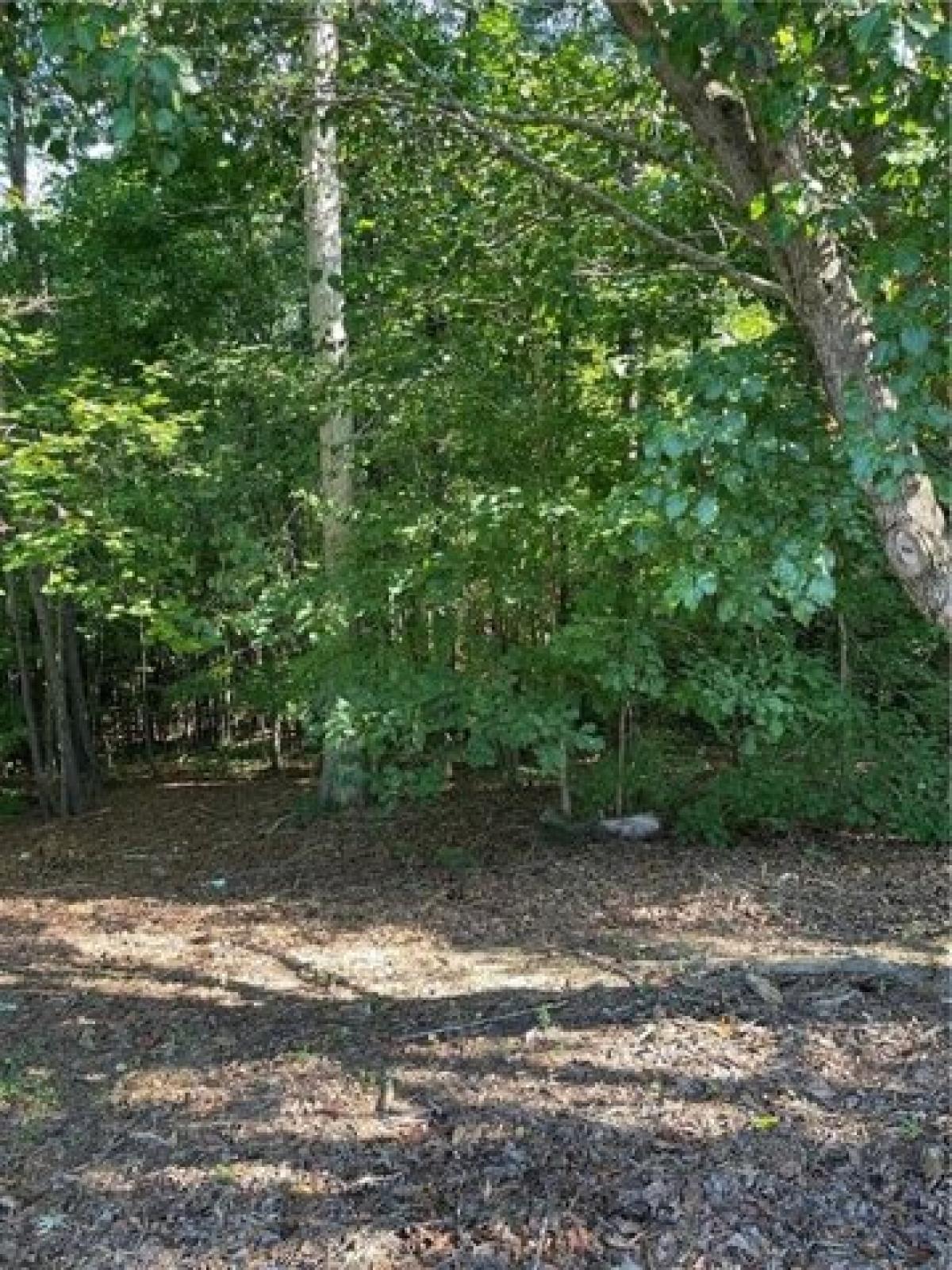 Picture of Residential Land For Sale in Dallas, Georgia, United States