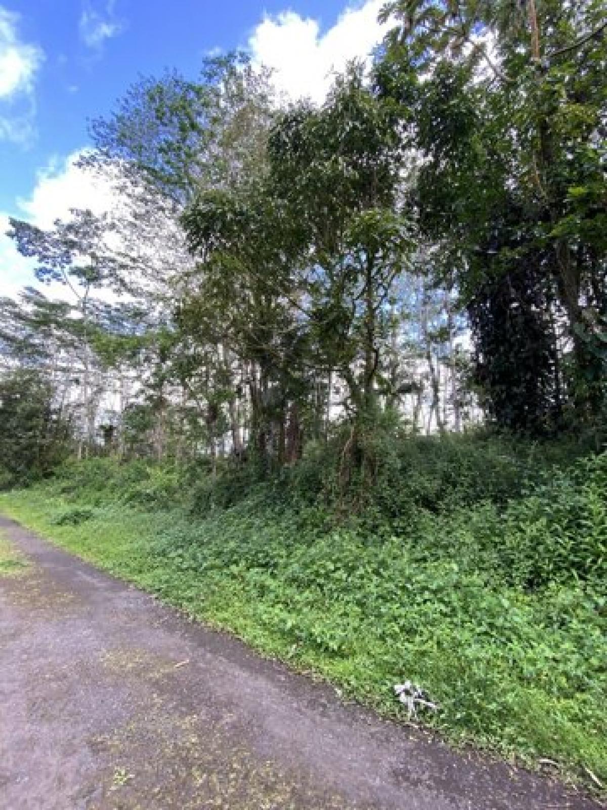 Picture of Residential Land For Rent in Pahoa, Hawaii, United States