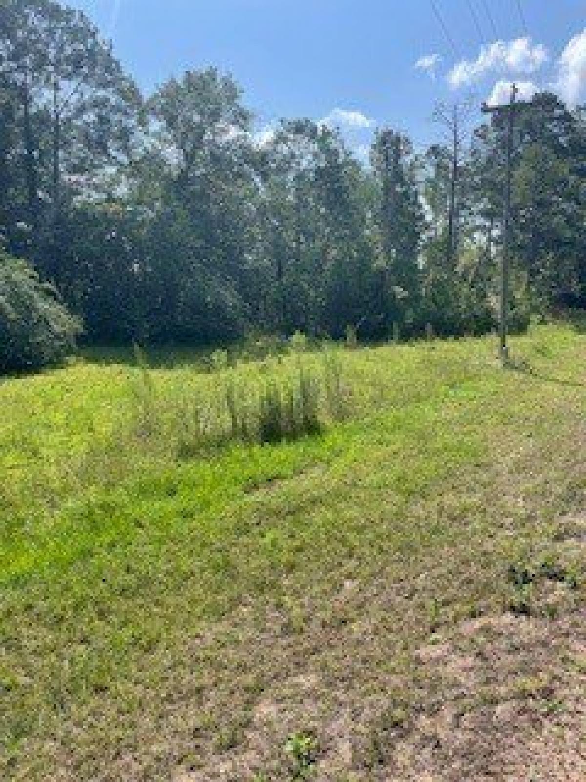 Picture of Residential Land For Sale in Greenville, Alabama, United States