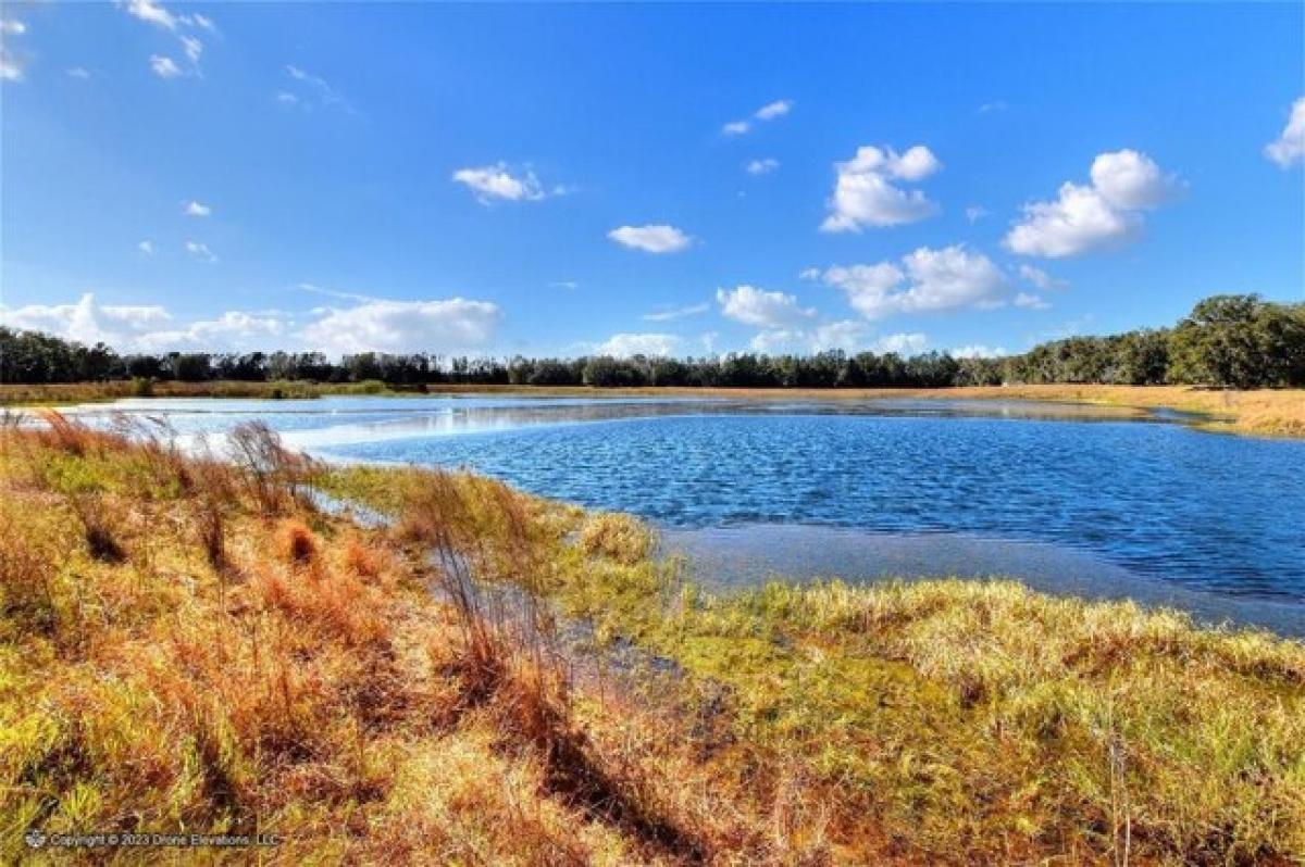 Picture of Residential Land For Sale in Plant City, Florida, United States