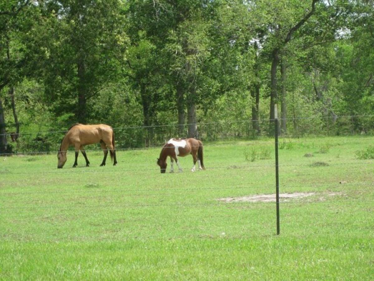 Picture of Residential Land For Rent in Cleveland, Texas, United States