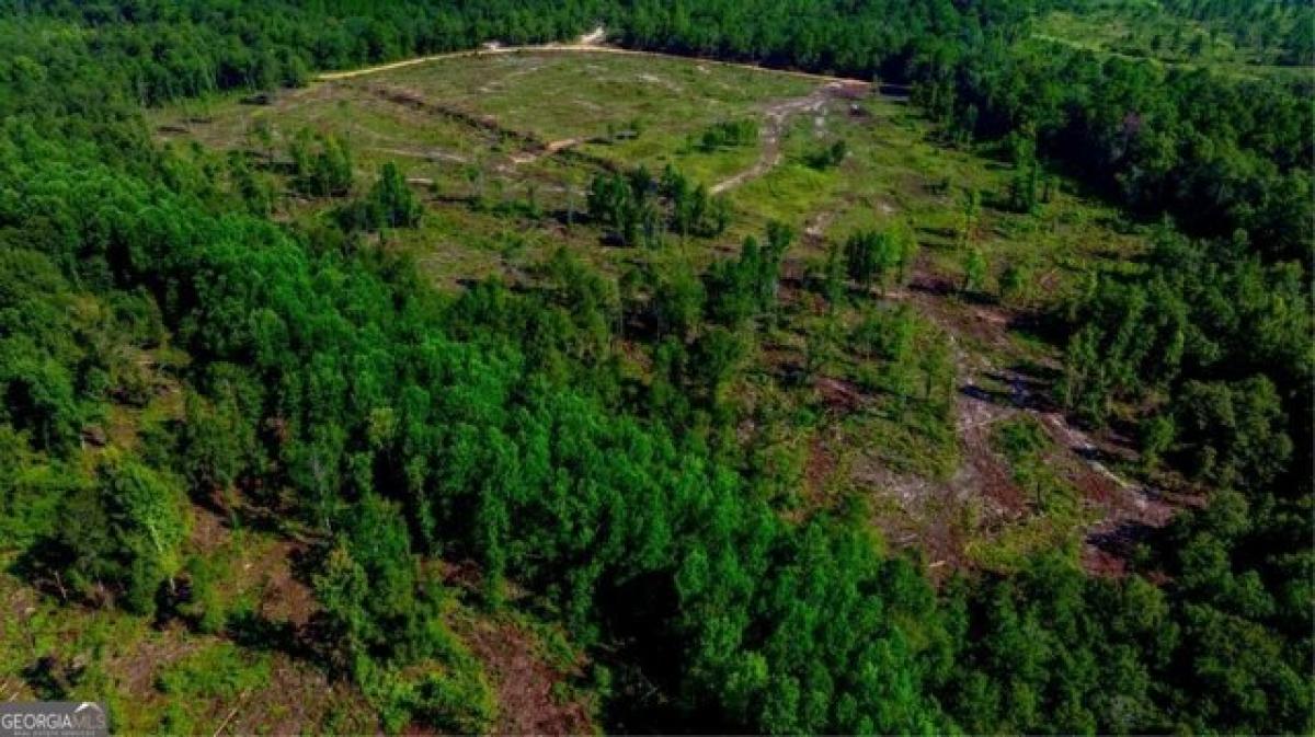 Picture of Residential Land For Sale in Twin City, Georgia, United States