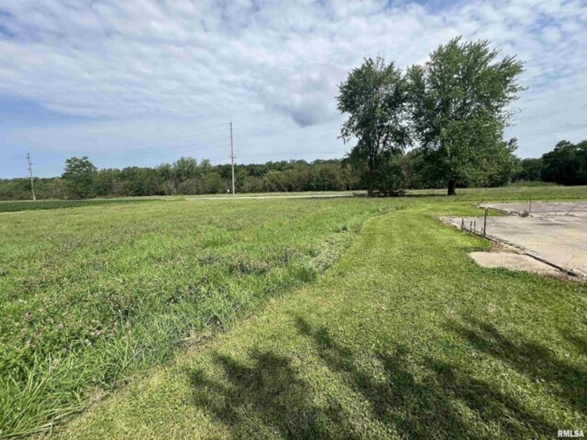 Picture of Residential Land For Sale in Farmington, Illinois, United States