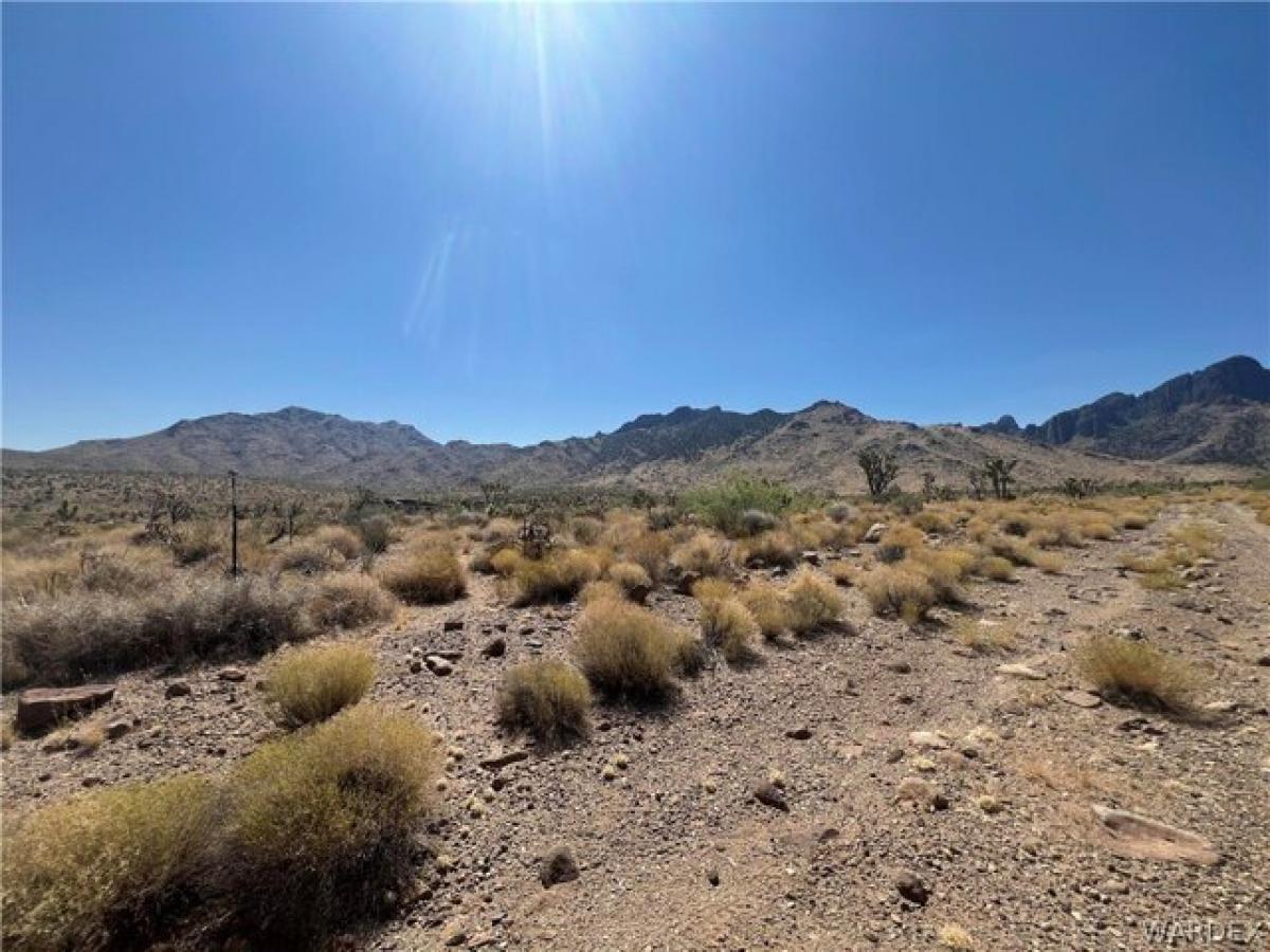 Picture of Residential Land For Rent in Dolan Springs, Arizona, United States