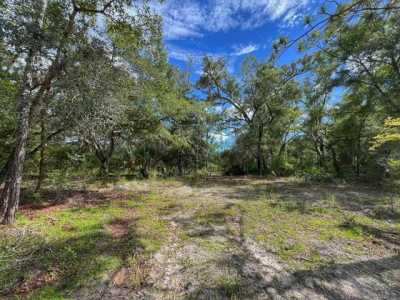 Residential Land For Sale in High Springs, Florida