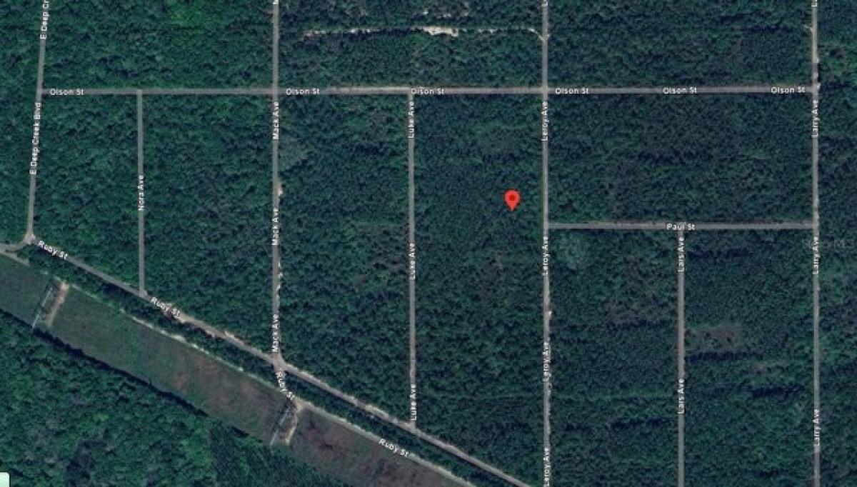 Picture of Residential Land For Rent in Hastings, Florida, United States