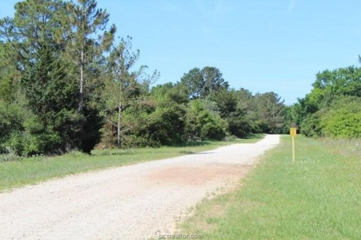 Picture of Residential Land For Rent in Hilltop Lakes, Texas, United States