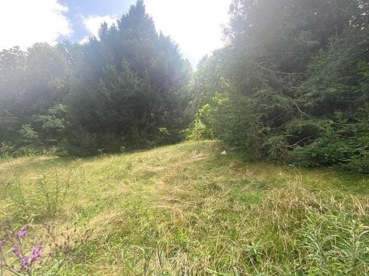 Picture of Home For Sale in Olive Hill, Kentucky, United States