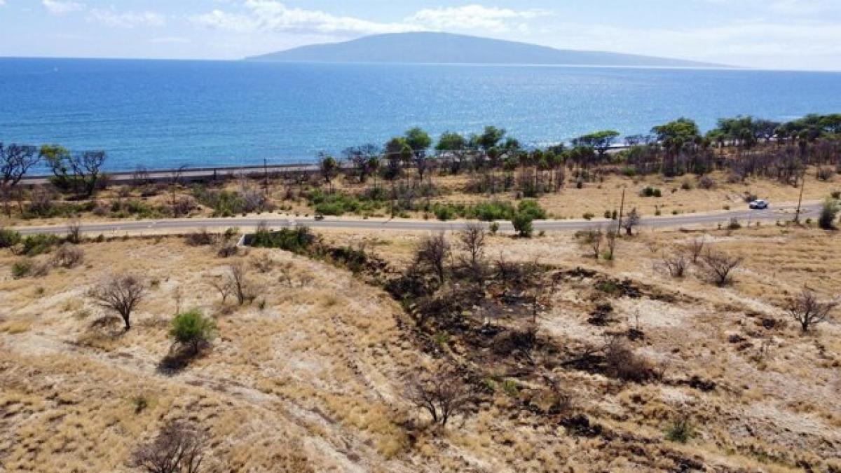 Picture of Residential Land For Sale in Lahaina, Hawaii, United States