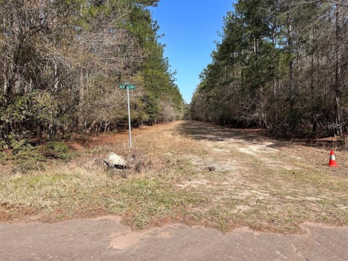 Picture of Residential Land For Rent in Village Mills, Texas, United States
