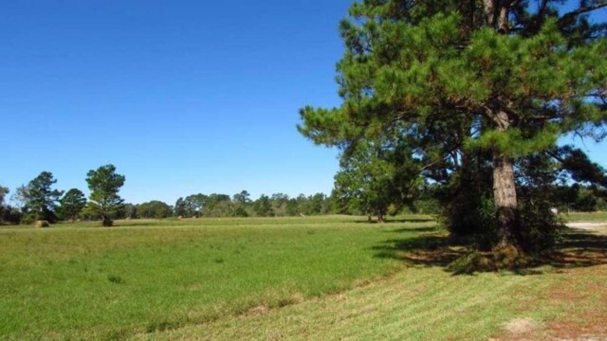 Picture of Residential Land For Rent in Trinity, Texas, United States