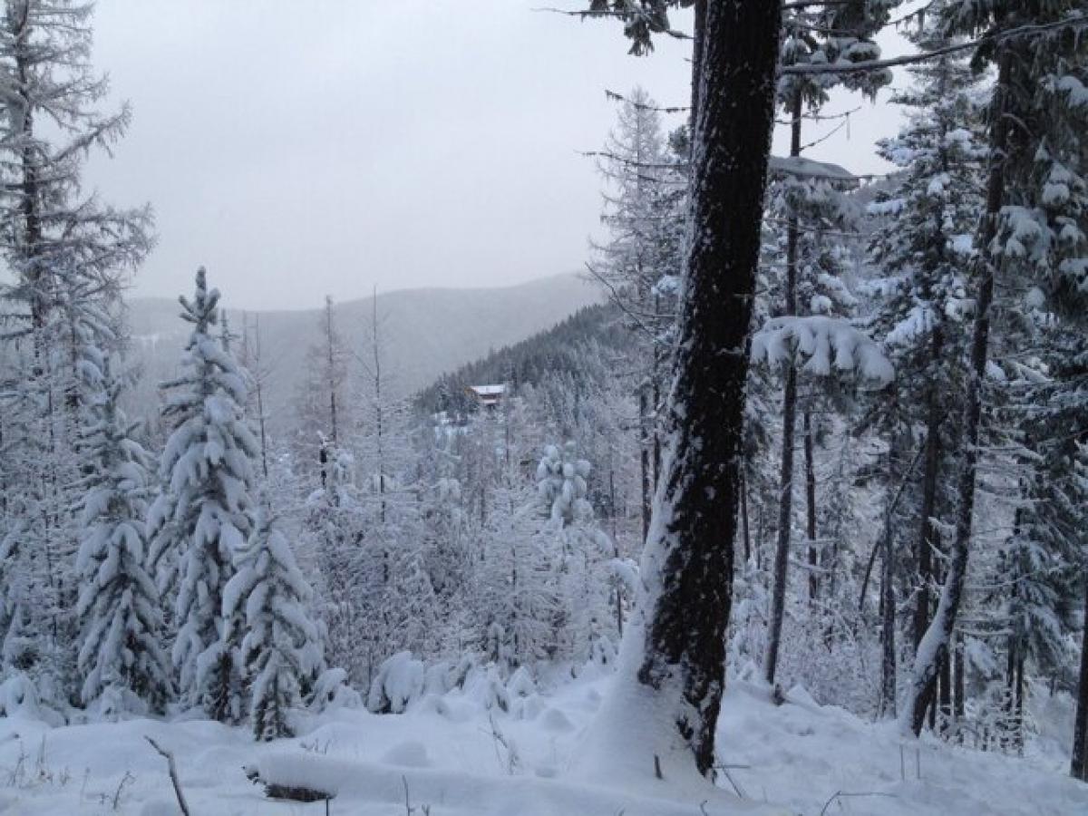 Picture of Home For Sale in Superior, Montana, United States