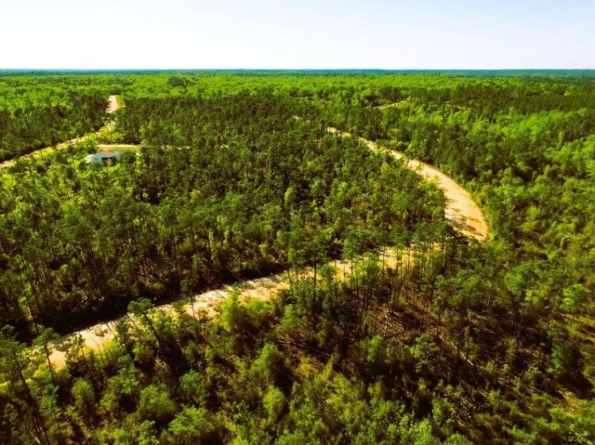 Picture of Residential Land For Sale in Marianna, Florida, United States