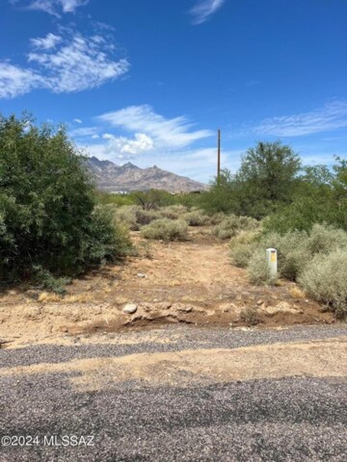 Picture of Residential Land For Rent in Safford, Arizona, United States