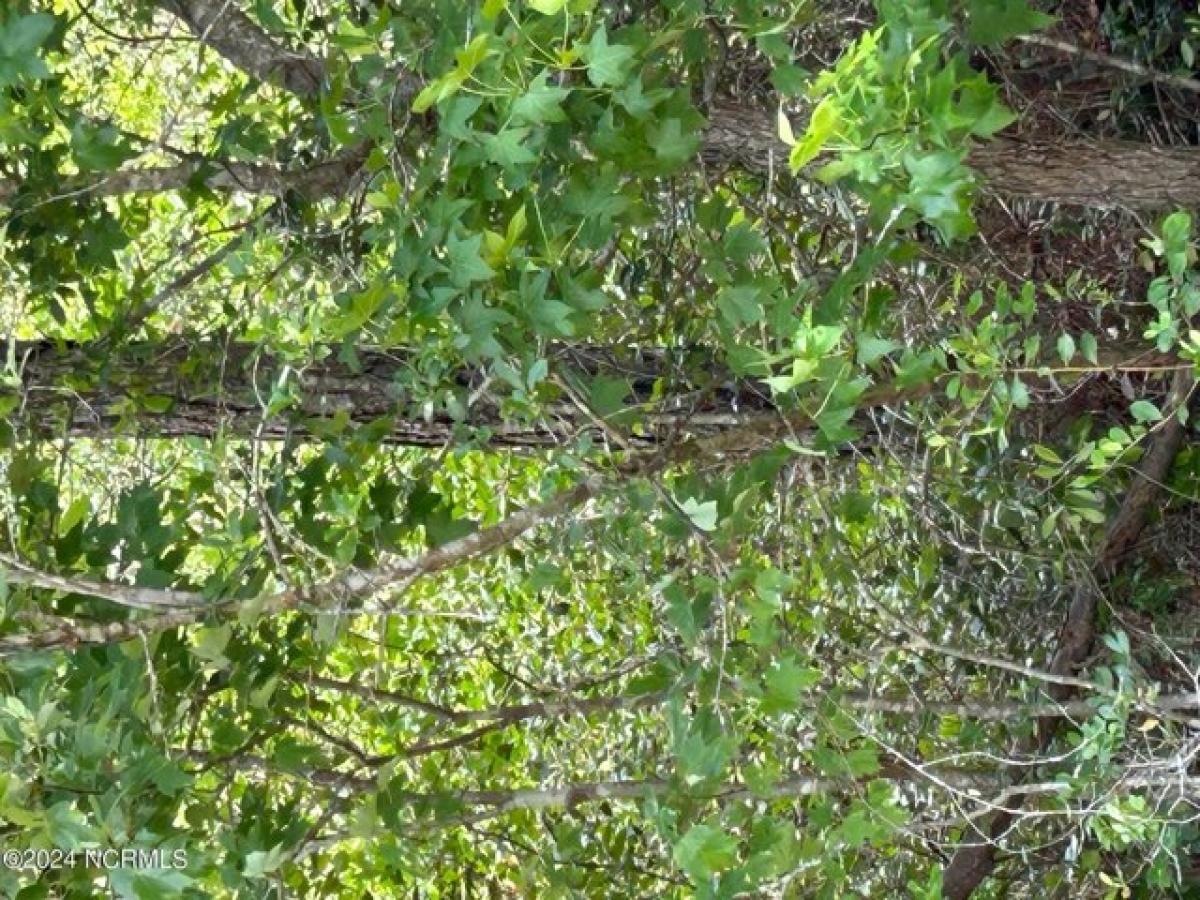 Picture of Residential Land For Sale in Southport, North Carolina, United States