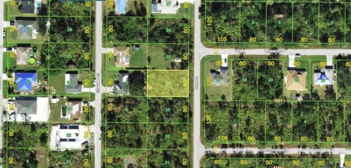 Picture of Residential Land For Sale in Punta Gorda, Florida, United States
