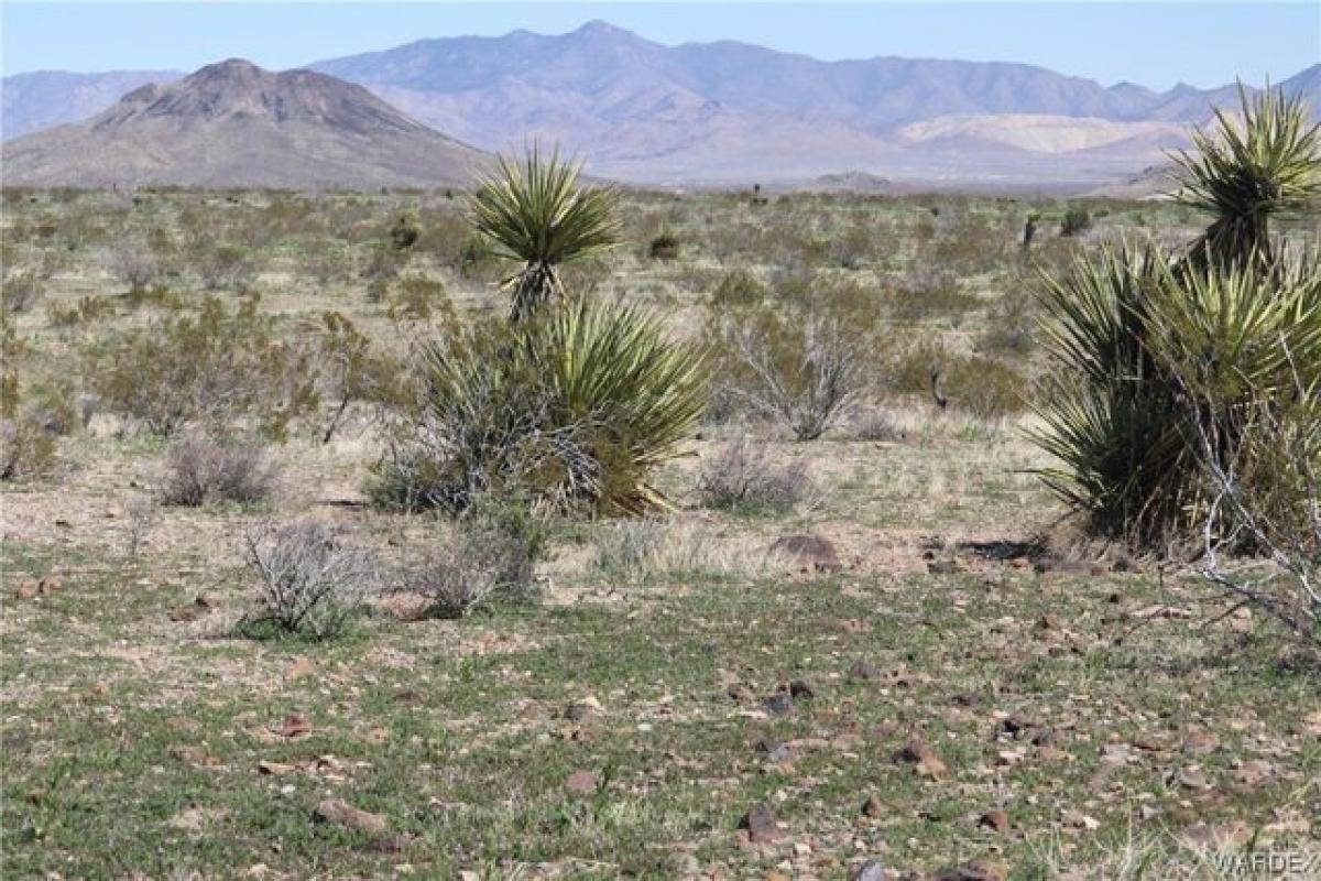 Picture of Residential Land For Sale in Golden Valley, Arizona, United States