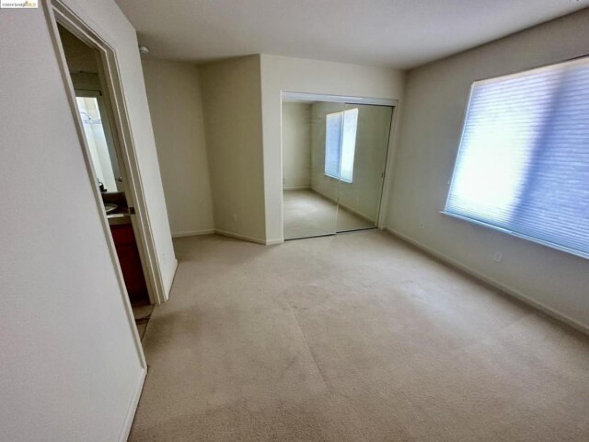 Picture of Home For Rent in Brentwood, California, United States