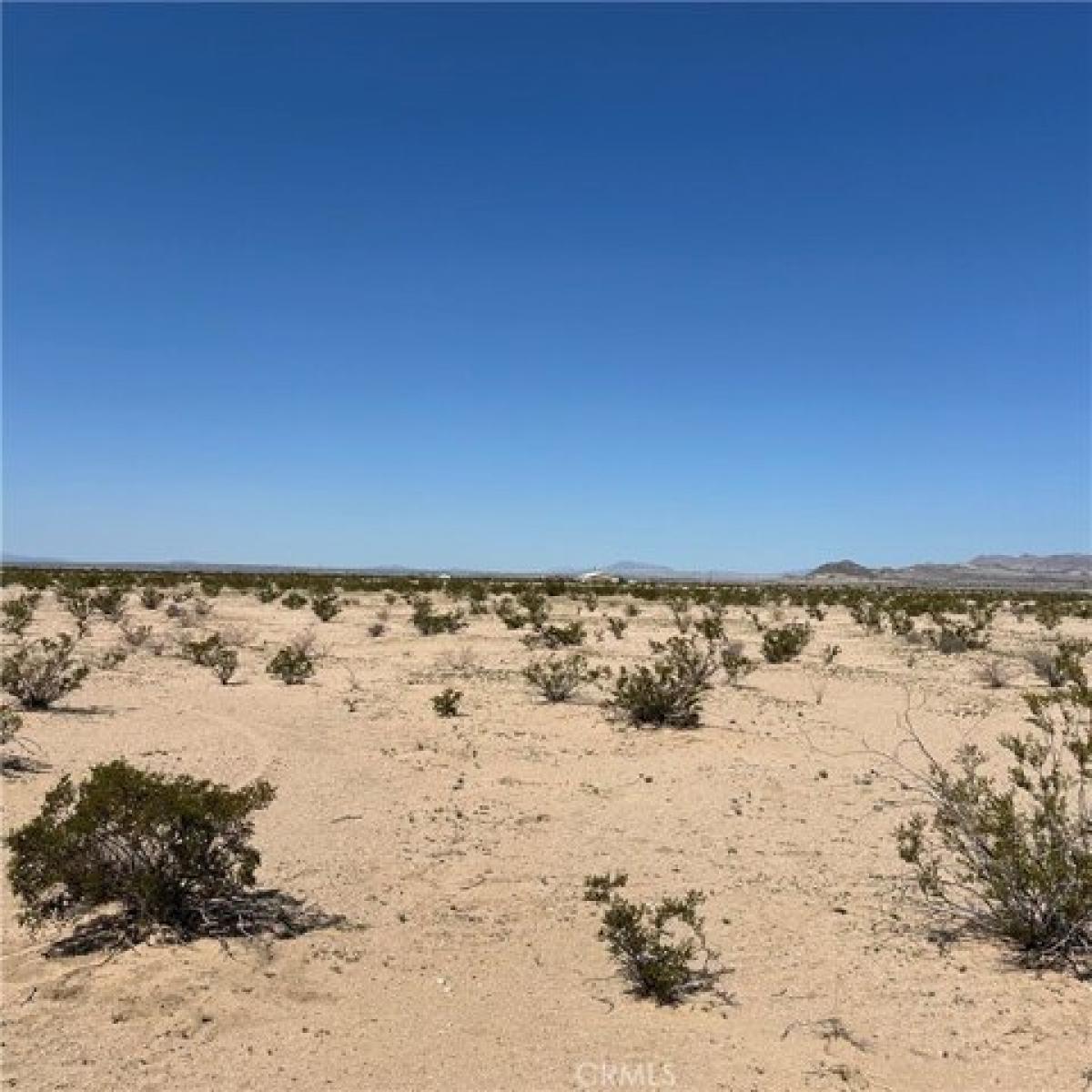 Picture of Residential Land For Sale in Twentynine Palms, California, United States
