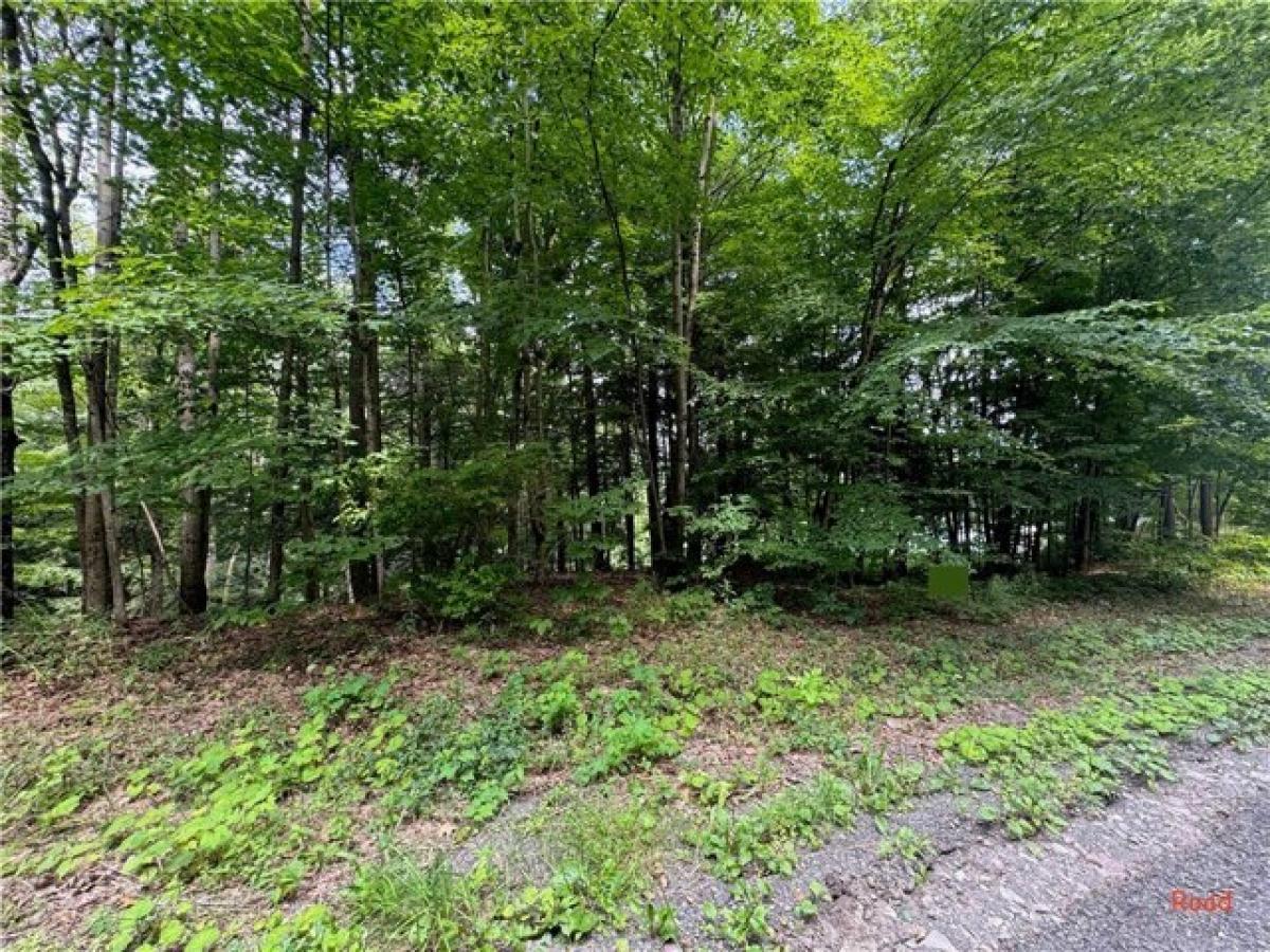 Picture of Residential Land For Rent in Gilbertsville, New York, United States