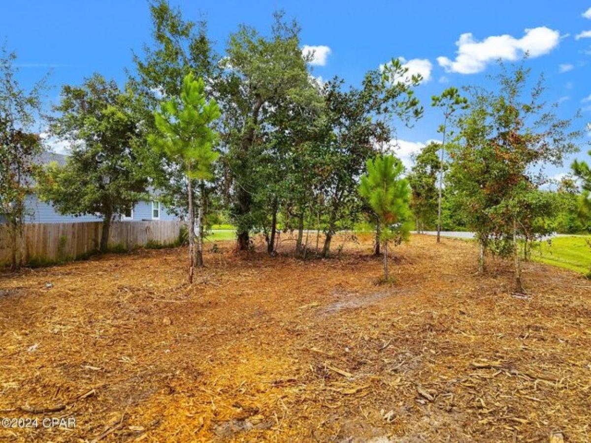 Picture of Residential Land For Sale in Panama City, Florida, United States