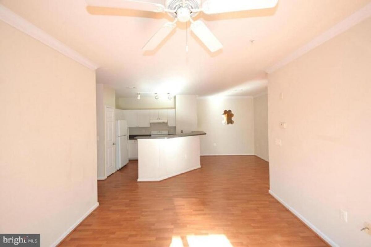 Picture of Home For Rent in Fairfax, Virginia, United States