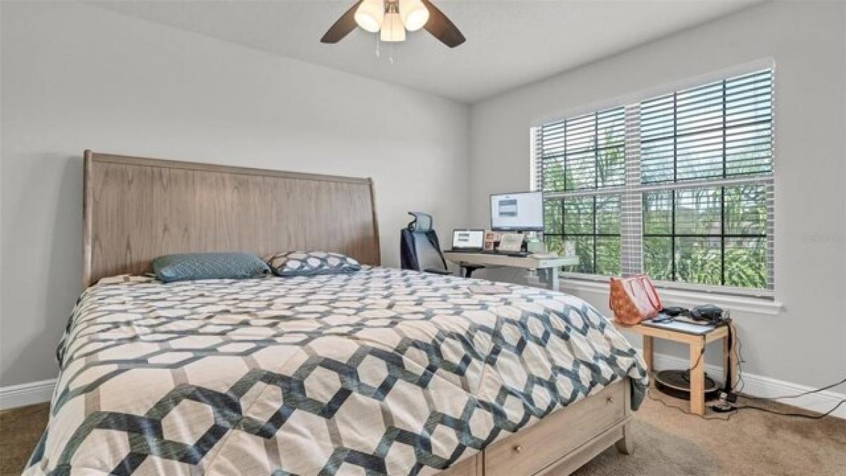 Picture of Home For Rent in Tampa, Florida, United States