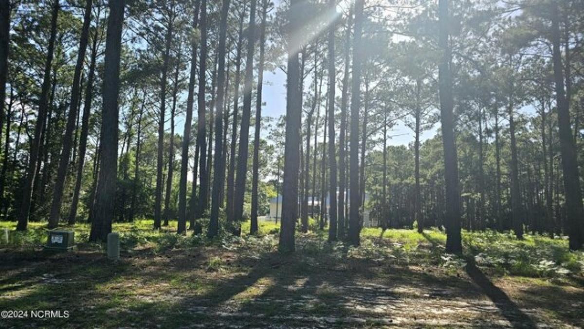 Picture of Residential Land For Sale in Southport, North Carolina, United States
