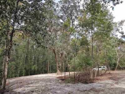 Residential Land For Rent in Pawleys Island, South Carolina