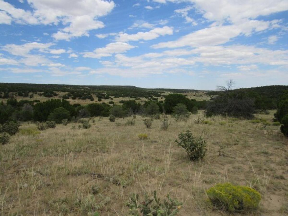 Picture of Residential Land For Sale in Walsenburg, Colorado, United States