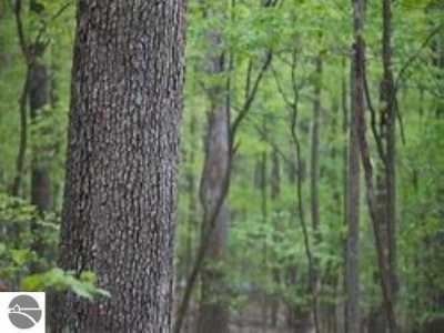 Home For Sale in Traverse City, Michigan