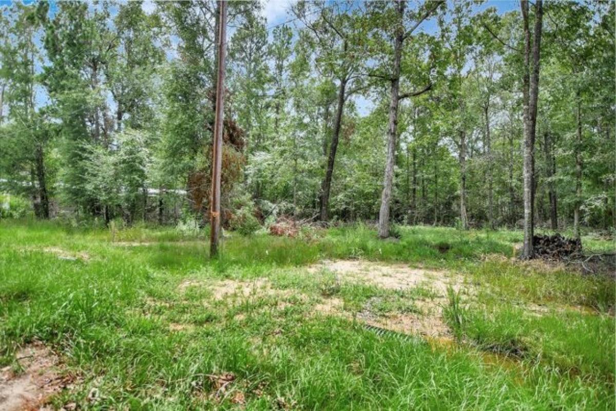Picture of Residential Land For Sale in Livingston, Texas, United States