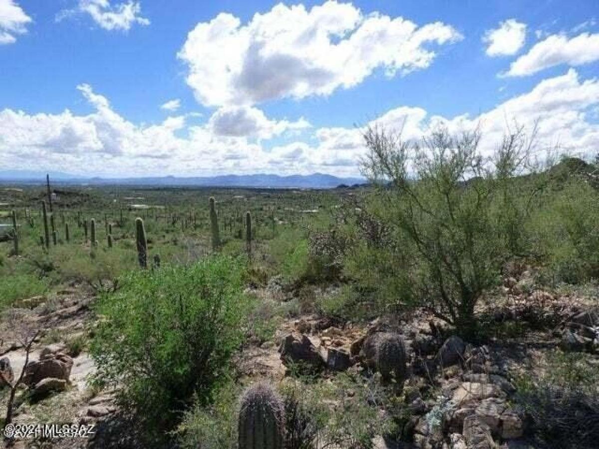 Picture of Residential Land For Sale in Tucson, Arizona, United States