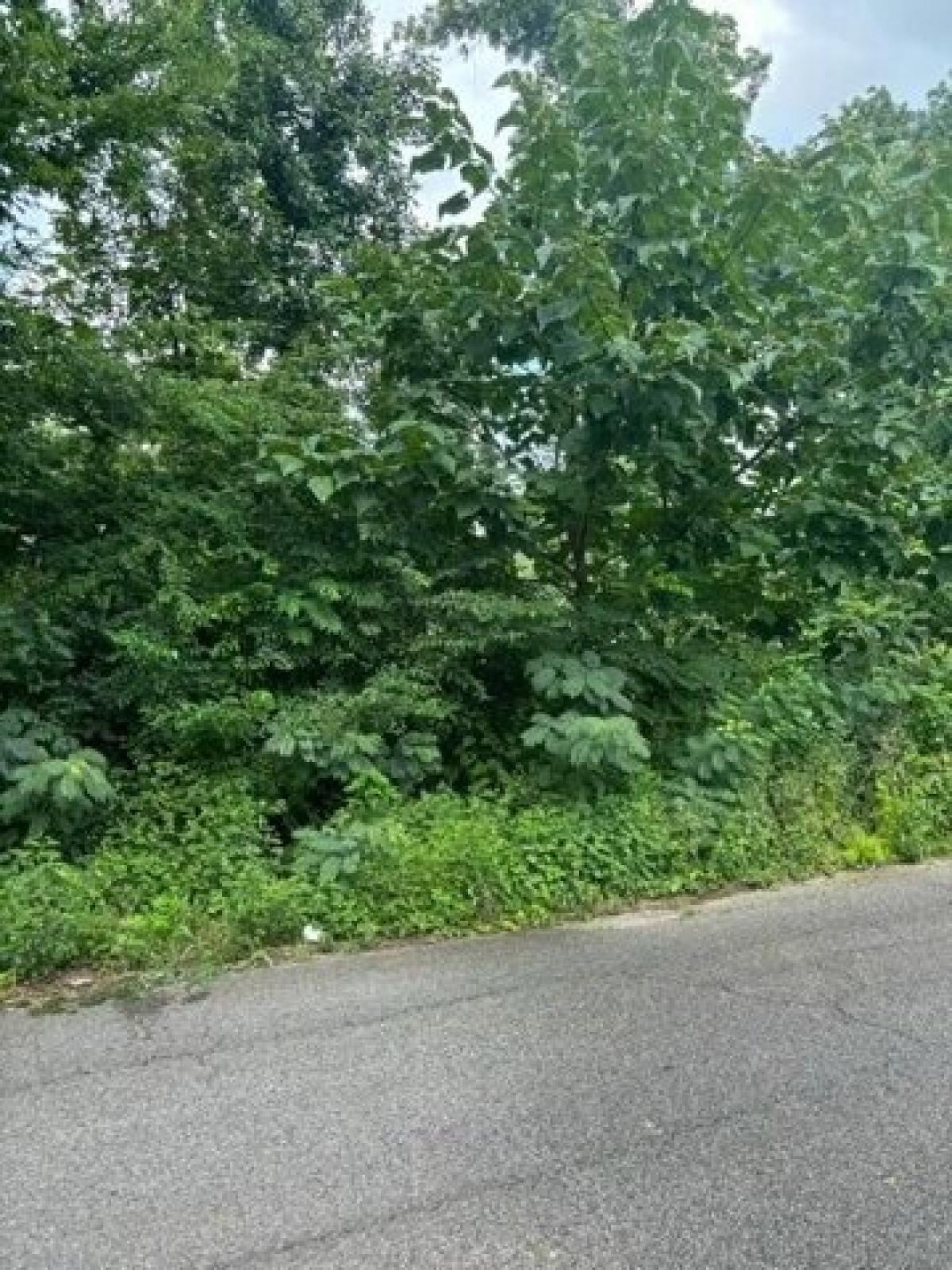 Picture of Residential Land For Sale in Chattanooga, Tennessee, United States