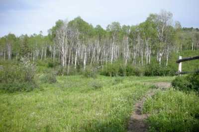Residential Land For Sale in Jackson, Wyoming