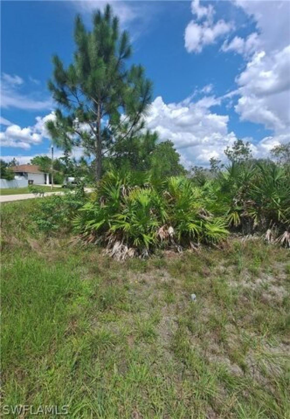 Picture of Residential Land For Sale in Lehigh Acres, Florida, United States