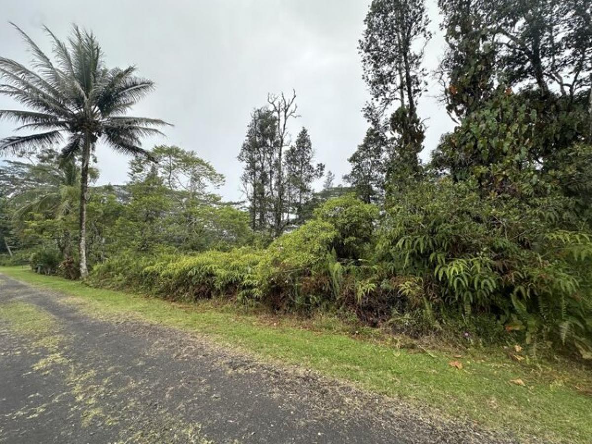 Picture of Residential Land For Rent in Pahoa, Hawaii, United States