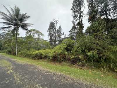 Residential Land For Rent in Pahoa, Hawaii