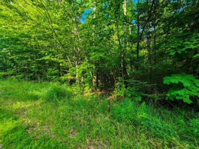 Residential Land For Sale in Cheboygan, Michigan