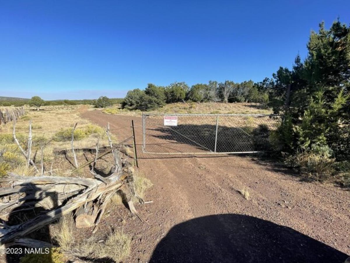 Picture of Residential Land For Sale in Williams, Arizona, United States