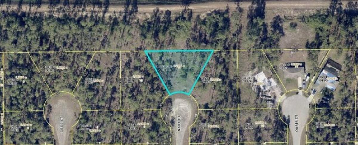 Picture of Residential Land For Sale in Lehigh Acres, Florida, United States