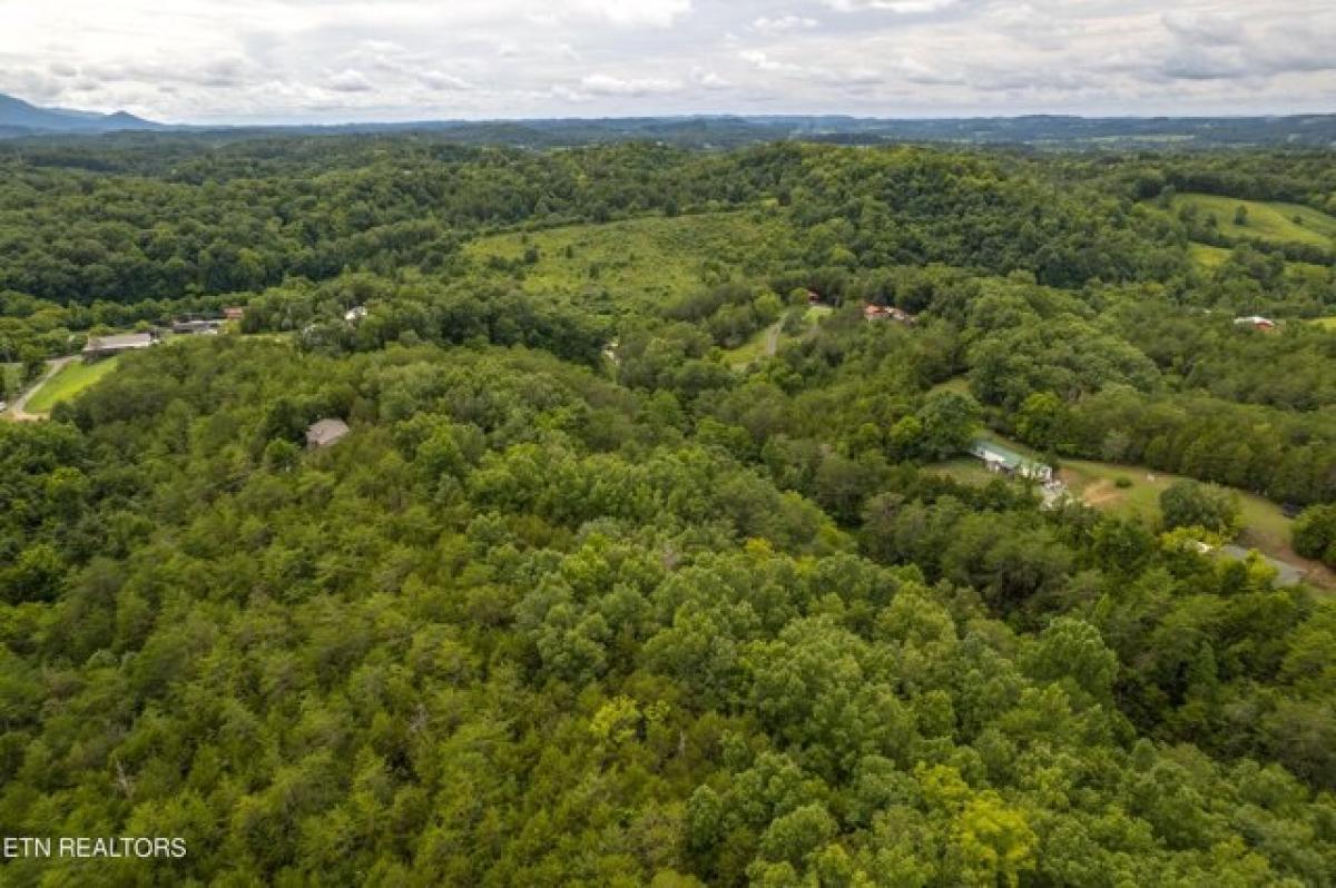 Picture of Residential Land For Sale in Sevierville, Tennessee, United States