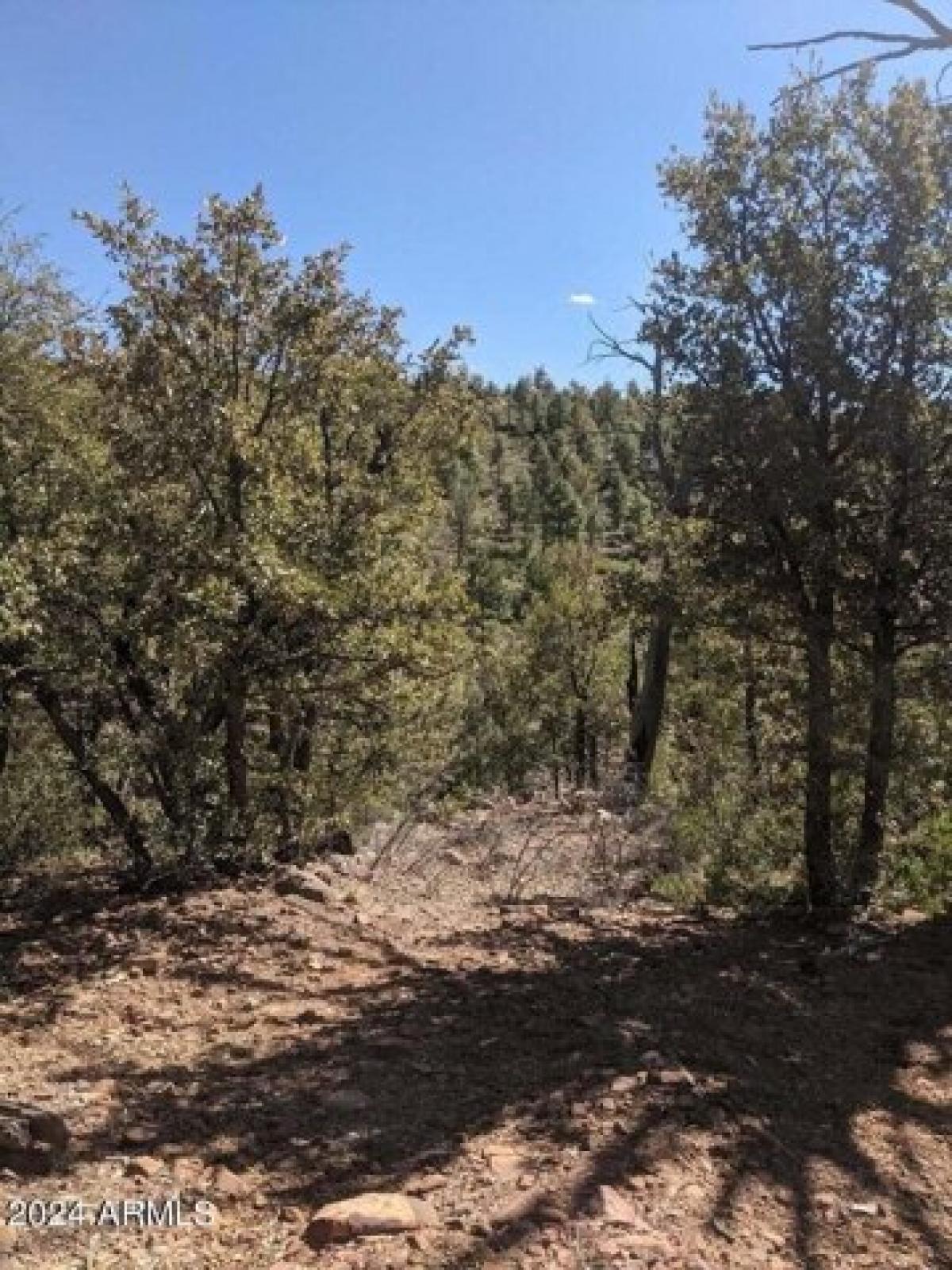 Picture of Residential Land For Sale in Payson, Arizona, United States
