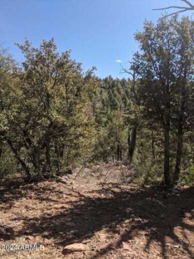 Residential Land For Sale in Payson, Arizona