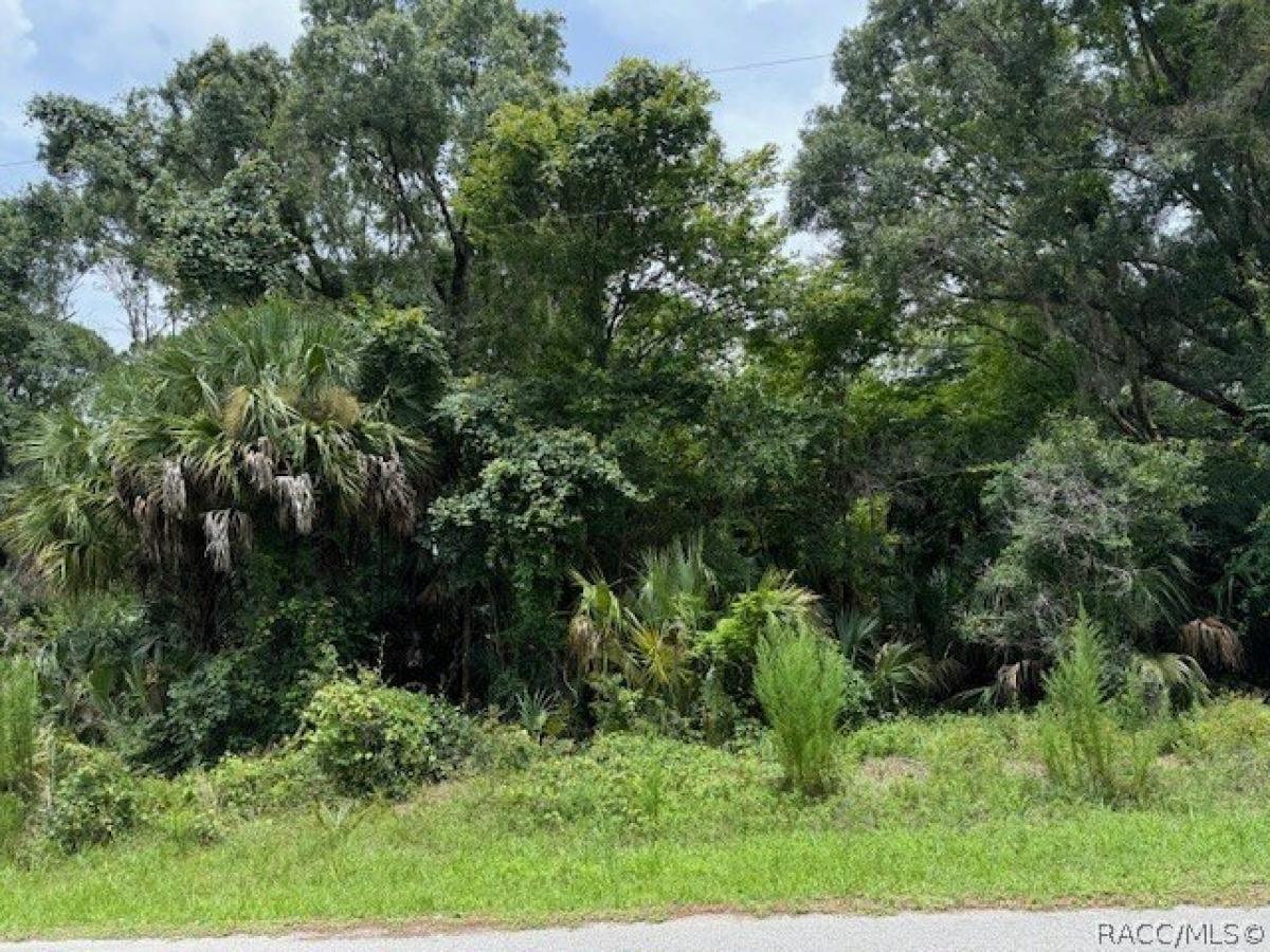 Picture of Residential Land For Sale in Crystal River, Florida, United States