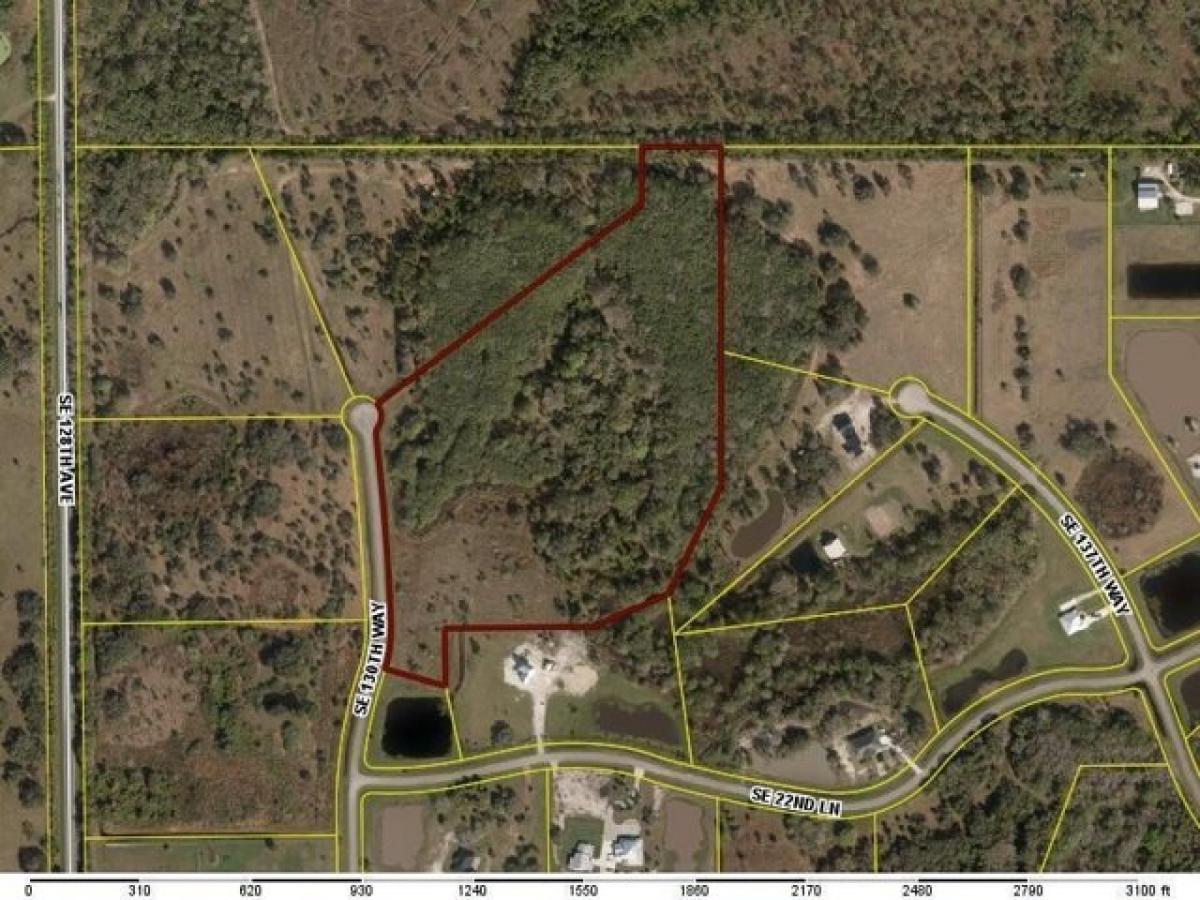 Picture of Residential Land For Sale in Okeechobee, Florida, United States