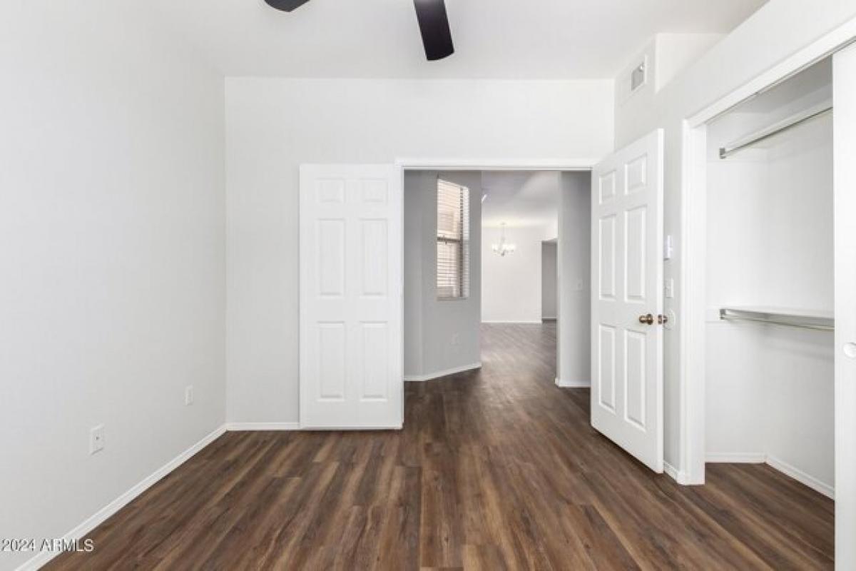 Picture of Apartment For Rent in Scottsdale, Arizona, United States